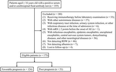 Association between red blood cell distribution width-to-albumin ratio and the prognosis in patients with autoimmune encephalitis: a retrospective cohort study